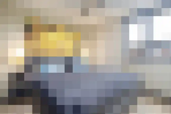 Straussstraat 14 Dongen thumbnail 21