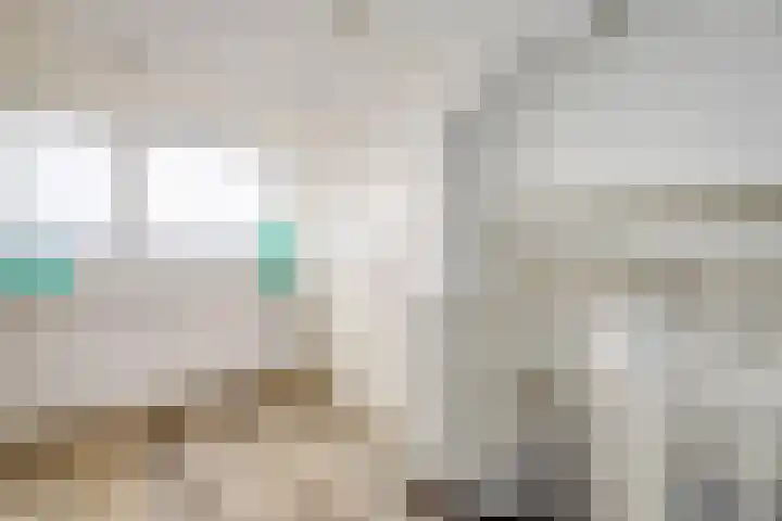 Straussstraat 14 Dongen thumbnail 32