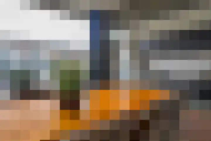 Straussstraat 14 Dongen thumbnail 4