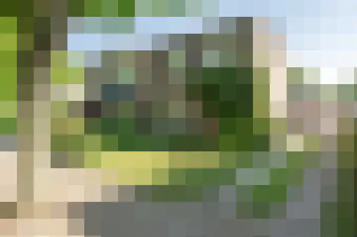 Straussstraat 14 Geleen thumbnail 31