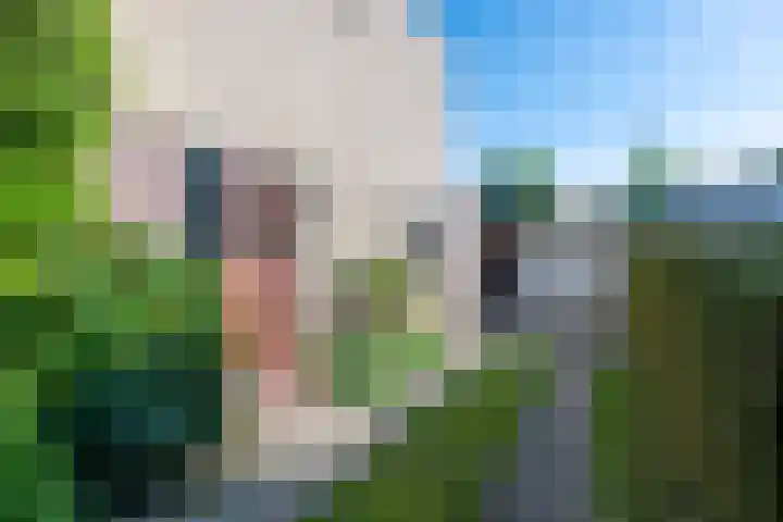 Straussstraat 14 Geleen thumbnail 6