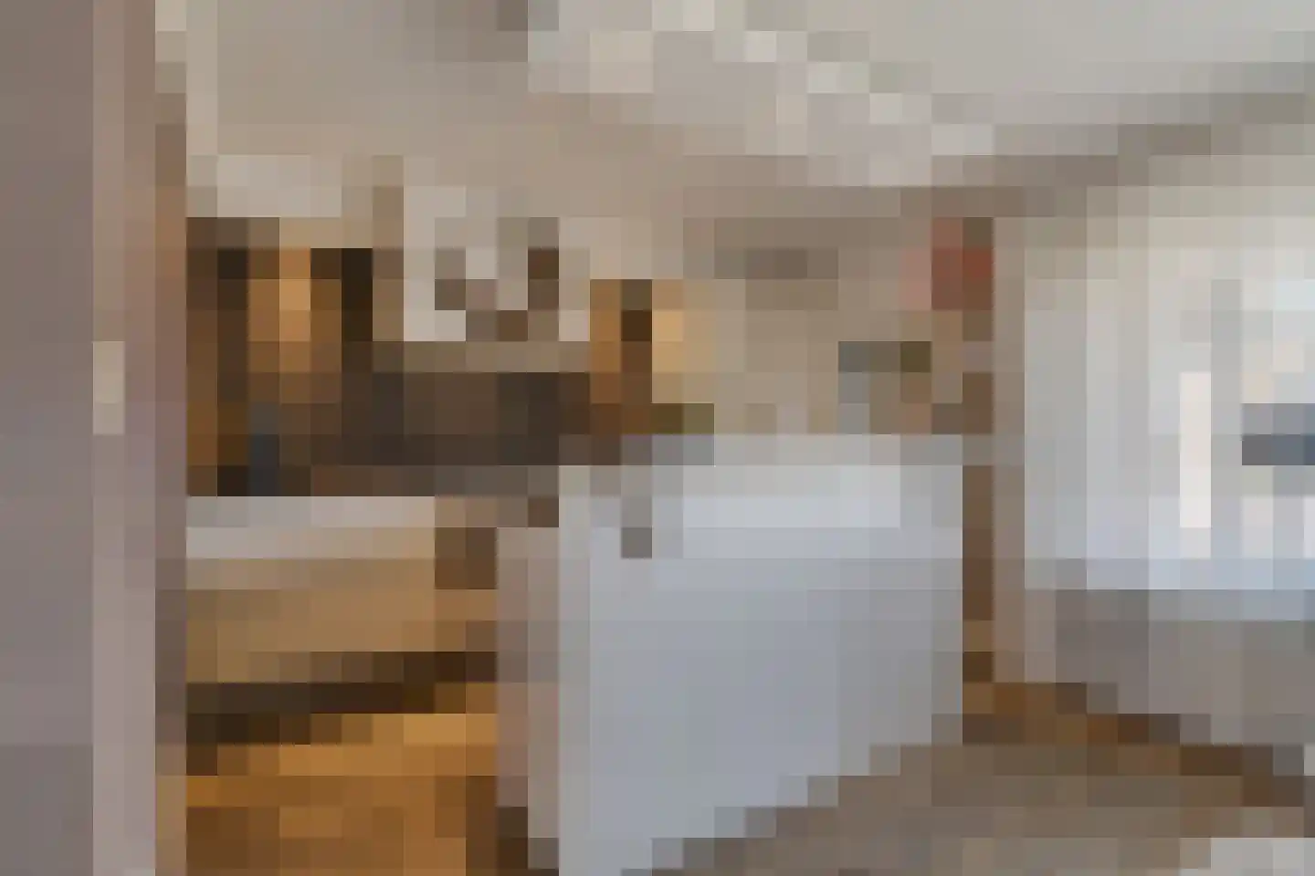 Straussstraat 24 Nijverdal thumbnail 10