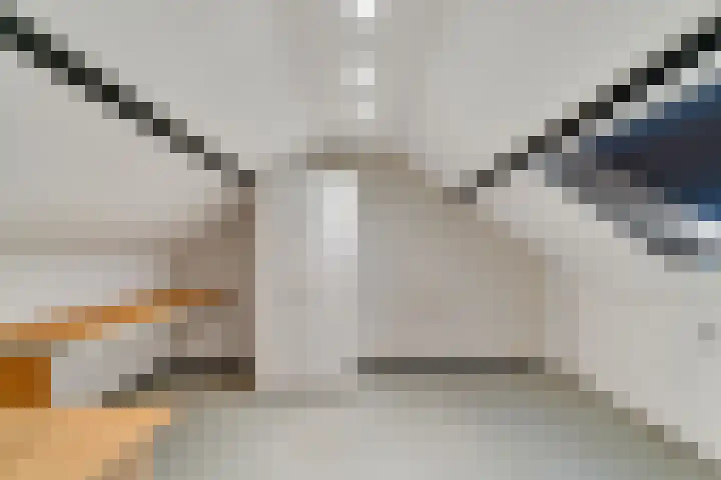 Straussstraat 24 Nijverdal thumbnail 26