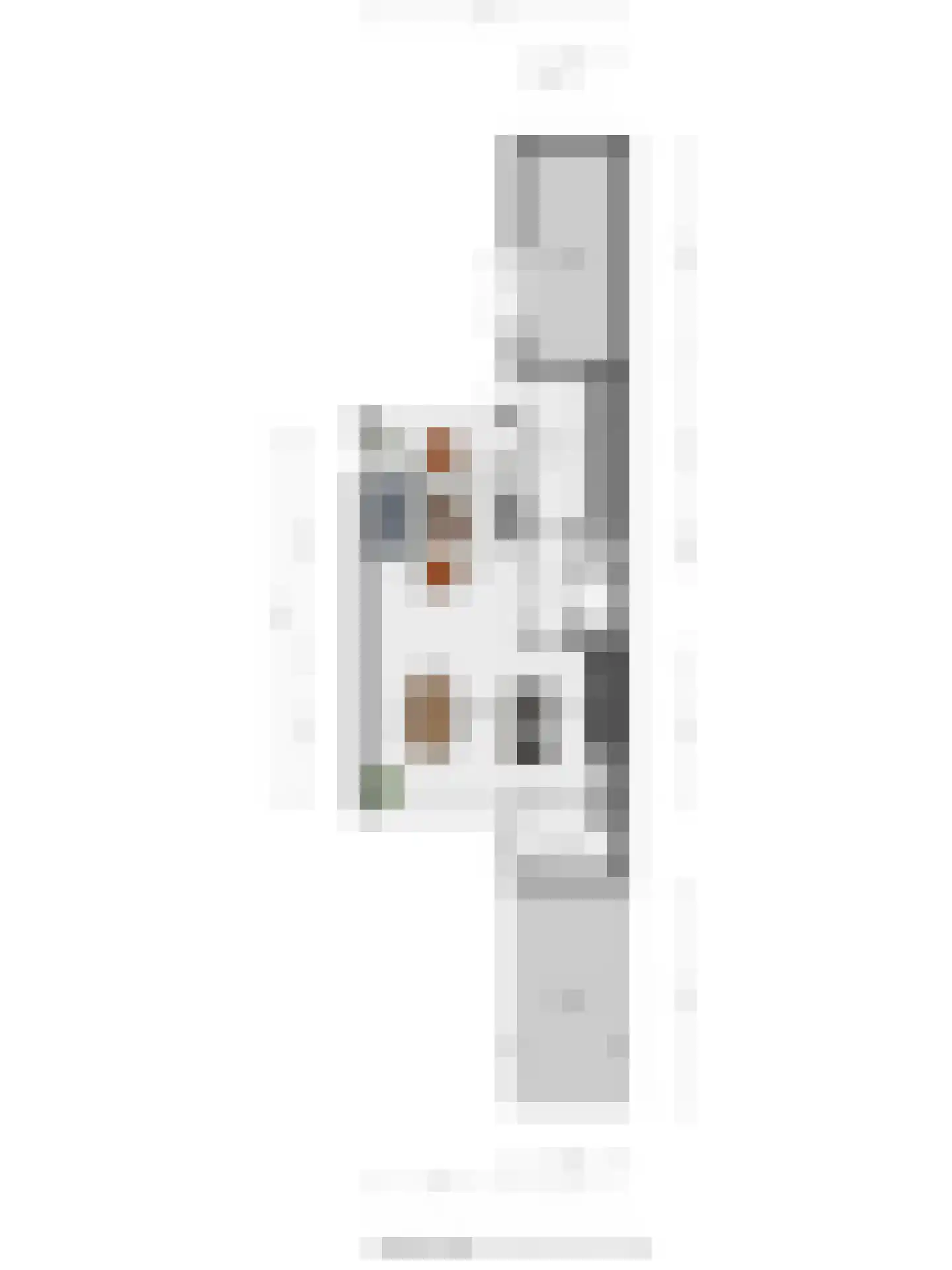 Straussstraat 24 Nijverdal thumbnail 36