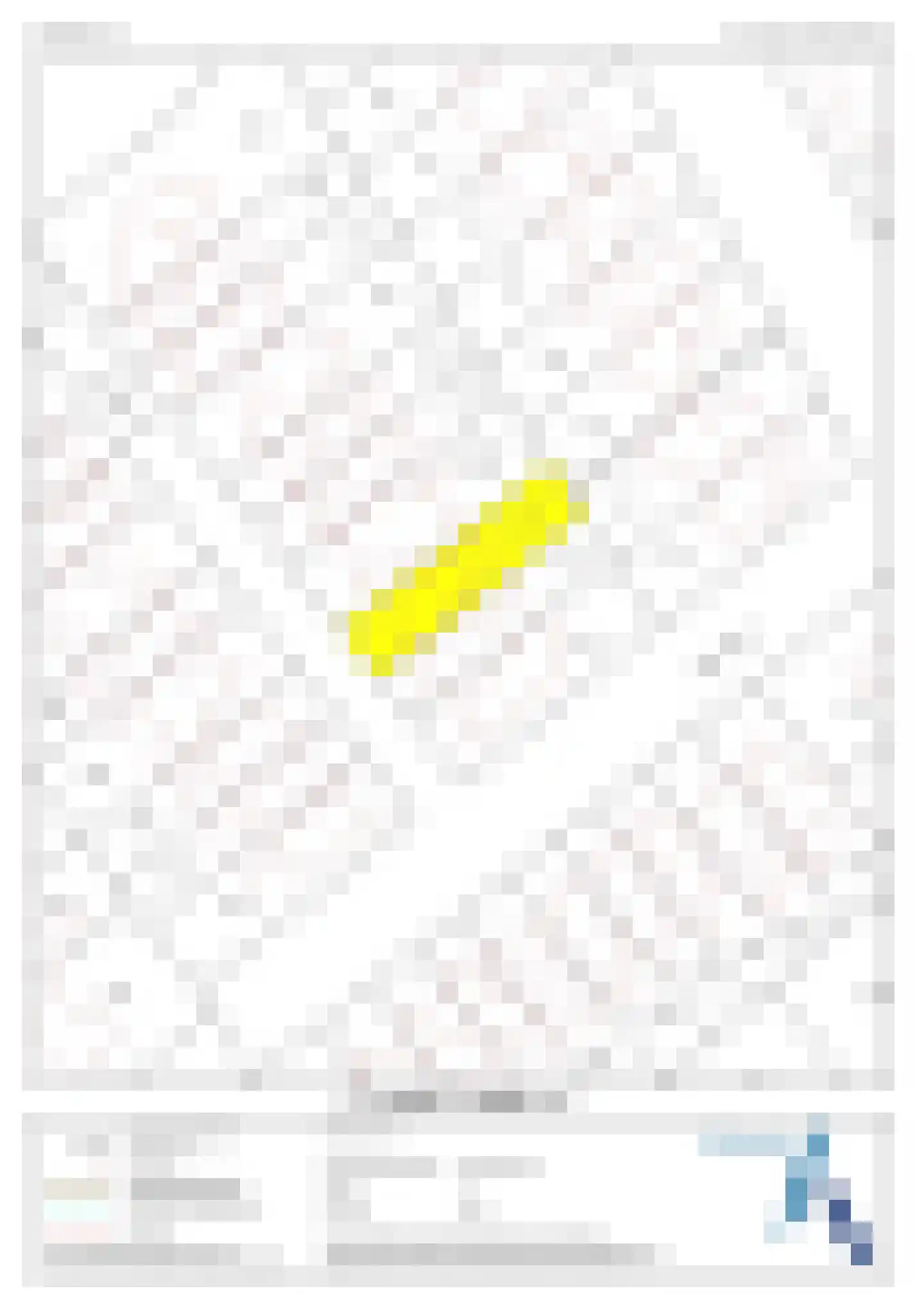 Straussstraat 6 Lichtenvoorde thumbnail 38