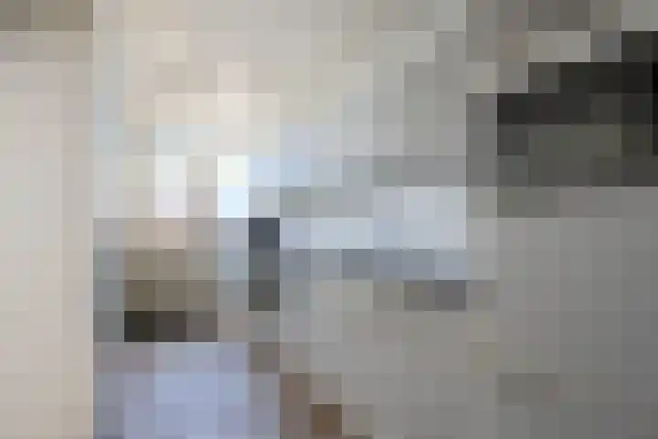 Strauszstraat 10 Heemskerk thumbnail 7