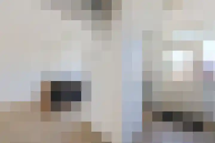 Strauszstraat 10 Heemskerk thumbnail 8