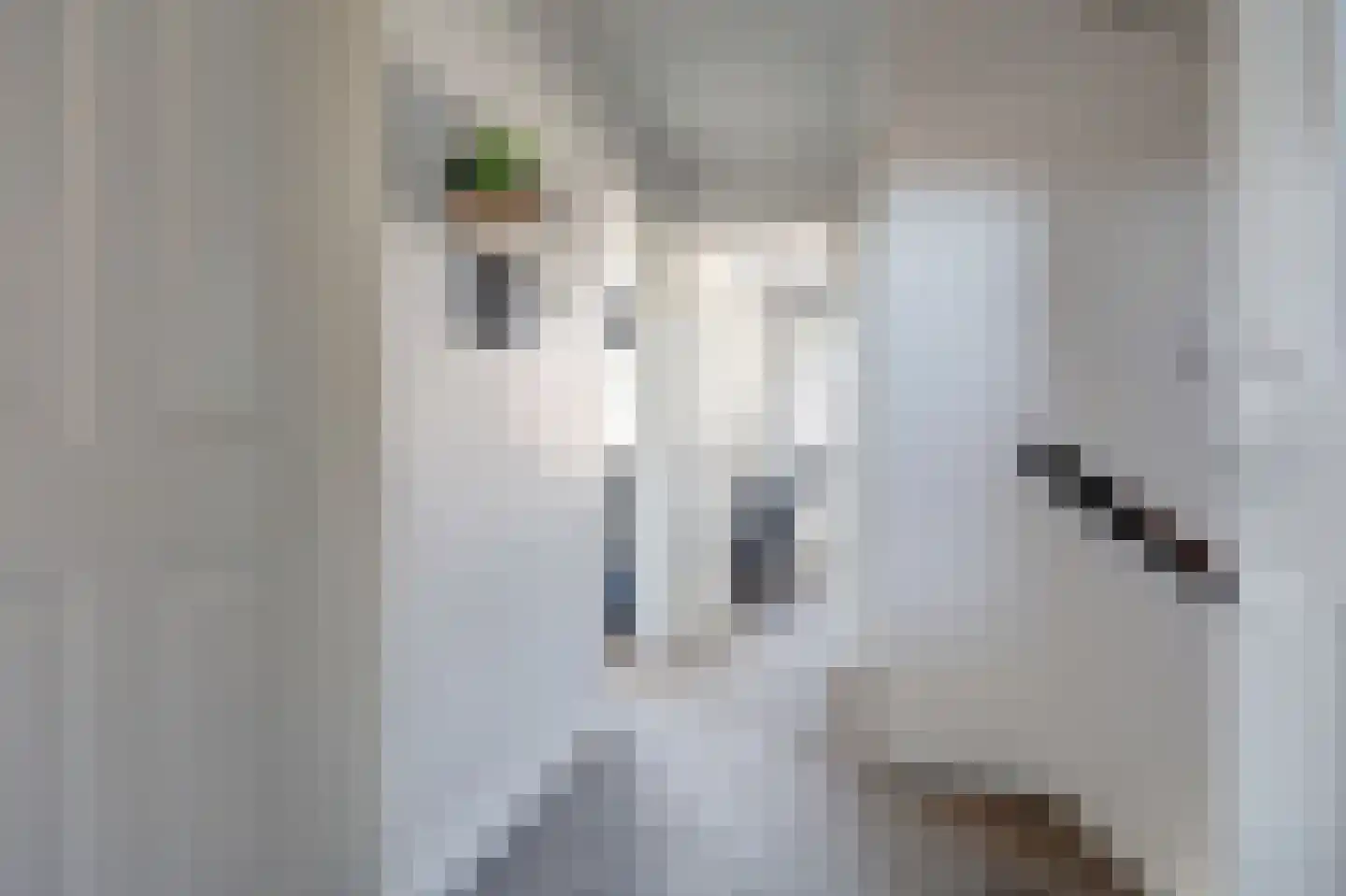Strauszstraat 19 Almelo thumbnail 18