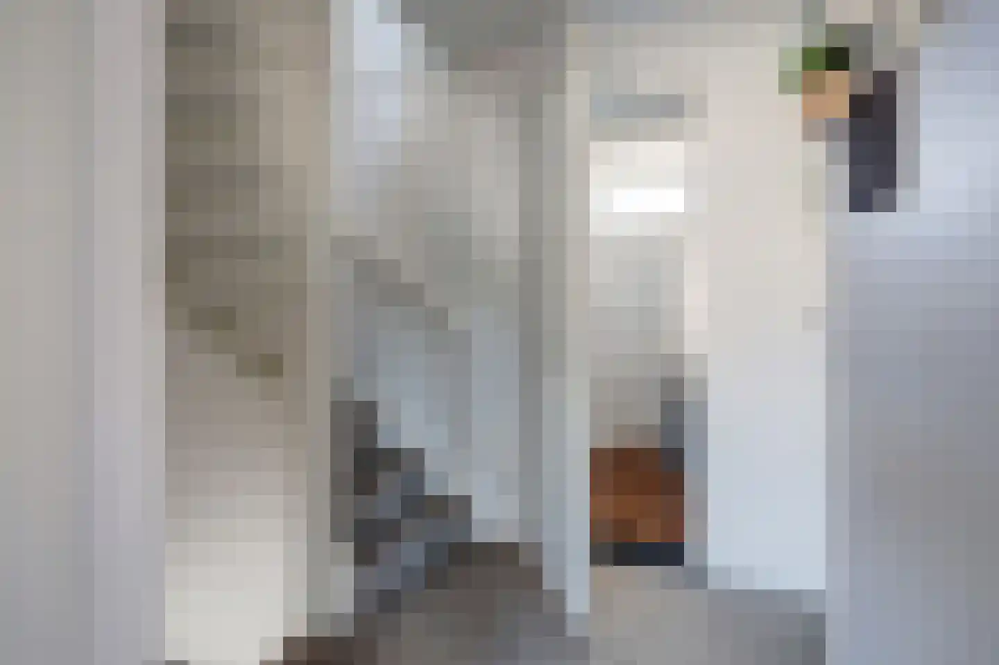 Strauszstraat 19 Almelo thumbnail 19