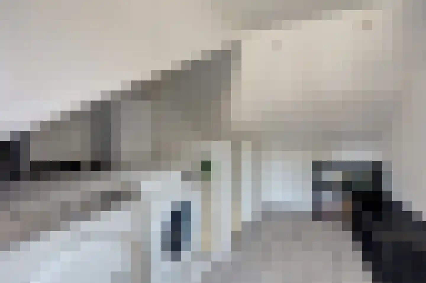 Strauszstraat 19 Almelo thumbnail 29
