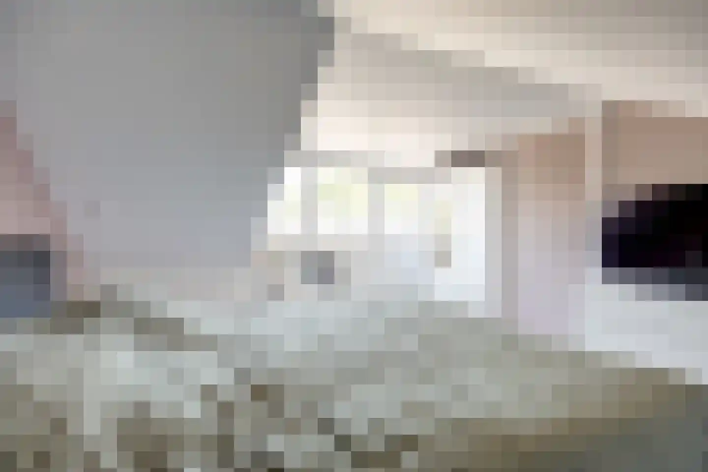 Strauszstraat 19 Almelo thumbnail 31