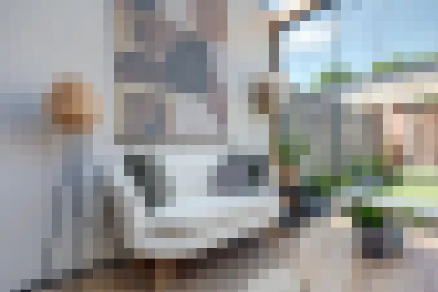 Strauszstraat 19 Almelo thumbnail 34