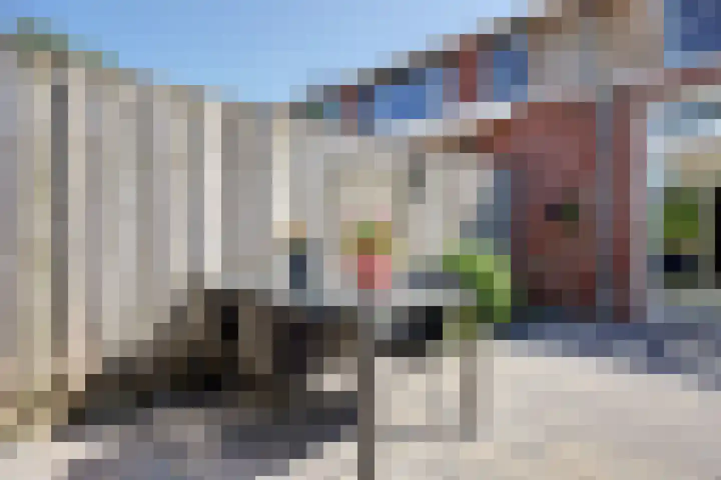 Strauszstraat 19 Almelo thumbnail 36