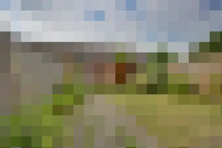 Strauszstraat 53 Almelo thumbnail 23