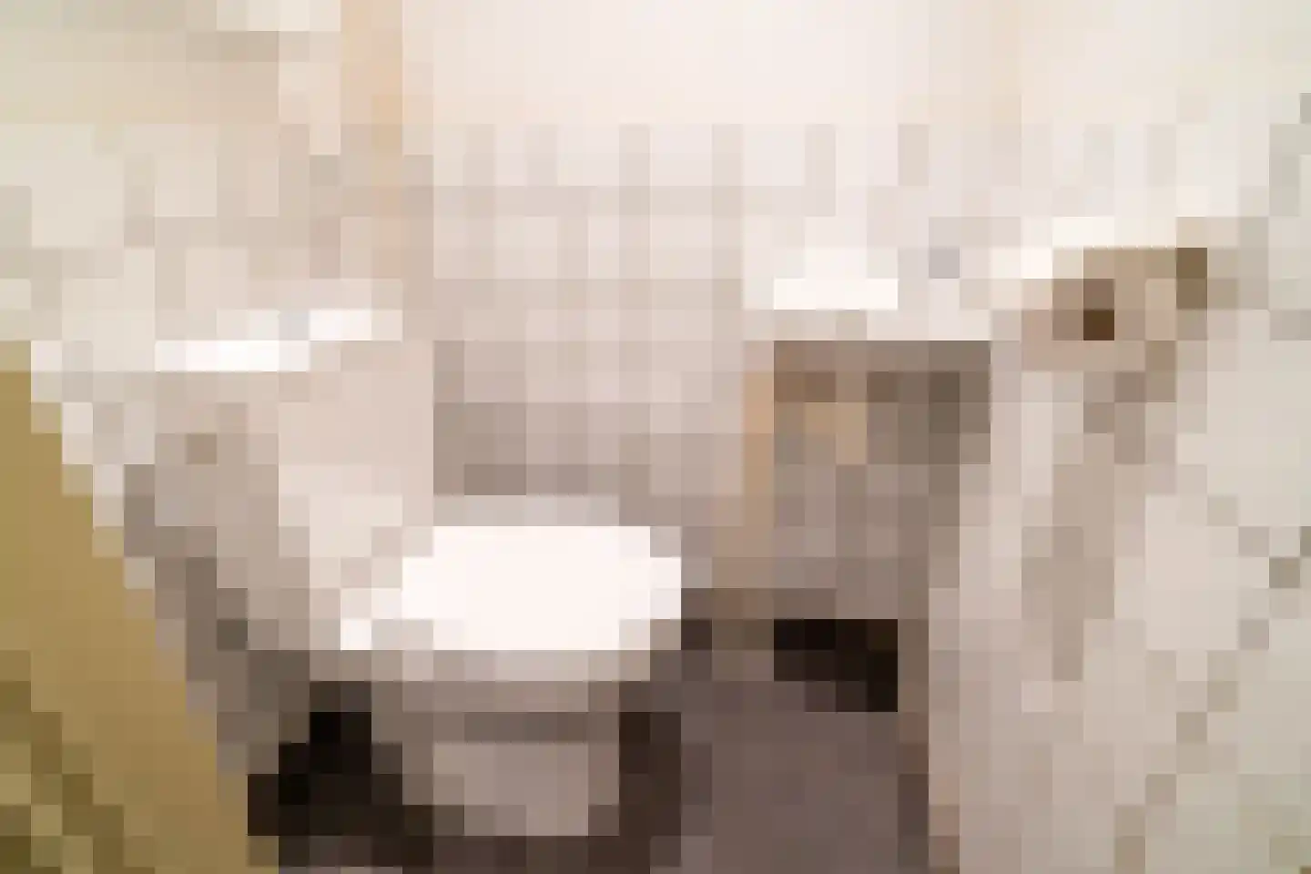 Strawinskylaan 17 Delft thumbnail 17