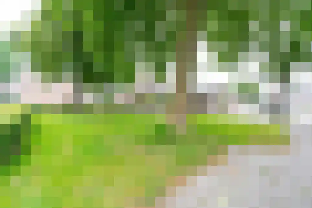 Strawinskylaan 17 Delft thumbnail 33