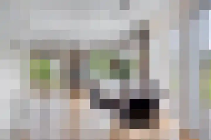 Strawinskylaan 20 Heemstede thumbnail 10
