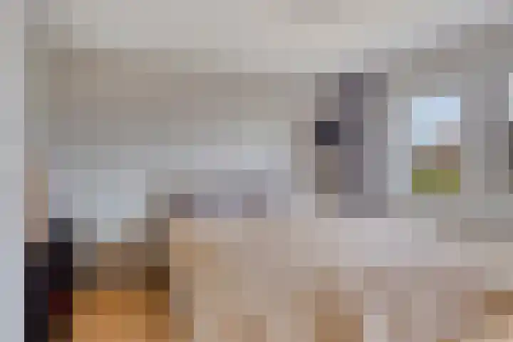 Strawinskylaan 20 Heemstede thumbnail 17