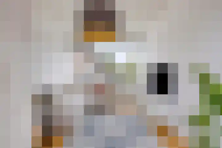 Strawinskylaan 20 Heemstede thumbnail 21