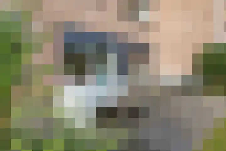 Strawinskylaan 20 Heemstede thumbnail 35