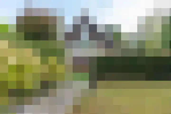 Strawinskylaan 20 Heemstede thumbnail 39