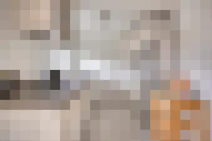 Strawinskylaan 20 Heemstede thumbnail 4