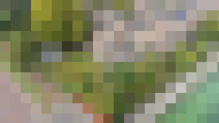 Strawinskylaan 20 Heemstede thumbnail 41