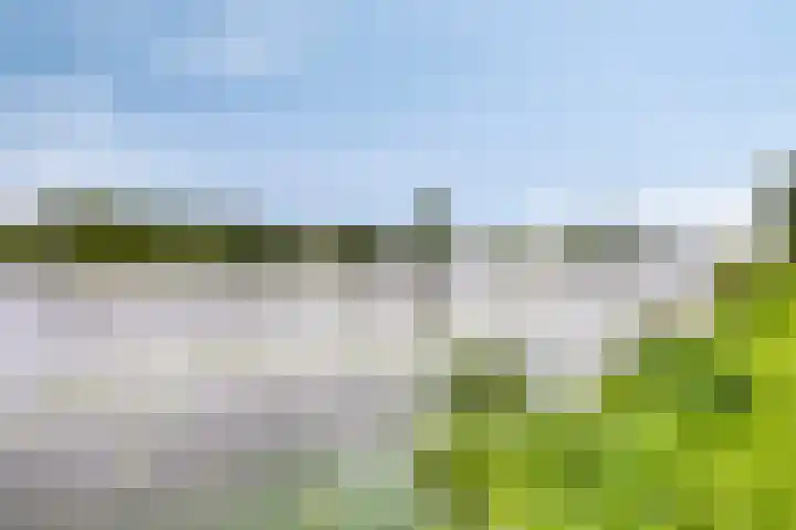 Strawinskylaan 20 Heemstede thumbnail 45