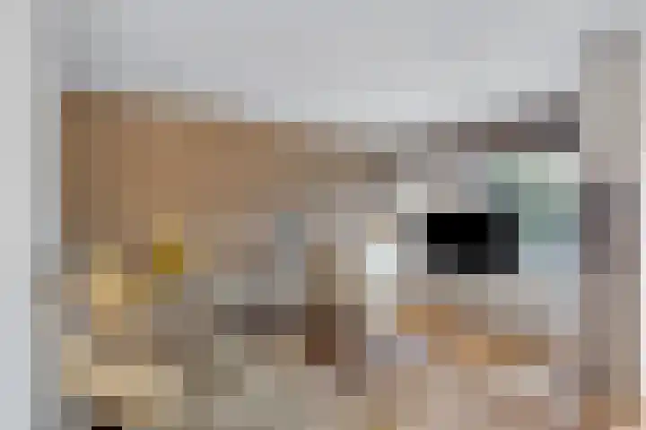 Strawinskylaan 20 Heemstede thumbnail 5