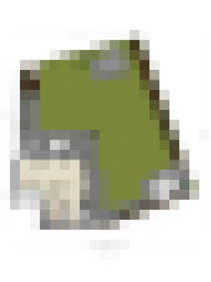 Strawinskylaan 20 Heemstede thumbnail 51