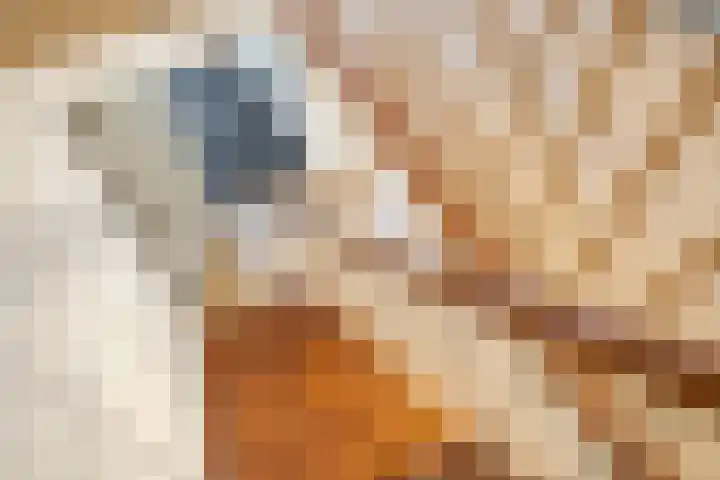 Strawinskylaan 21 Delft thumbnail 21