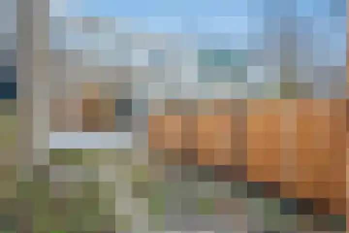 Strawinskylaan 21 Delft thumbnail 22