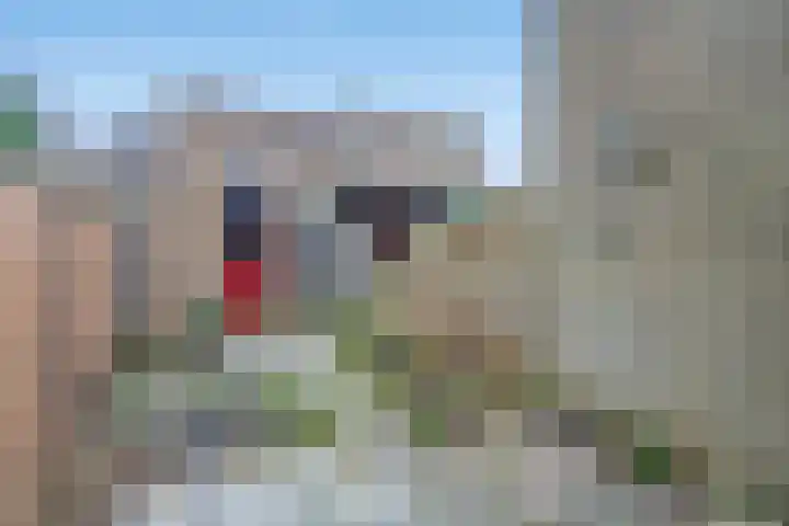 Strawinskylaan 21 Delft thumbnail 23