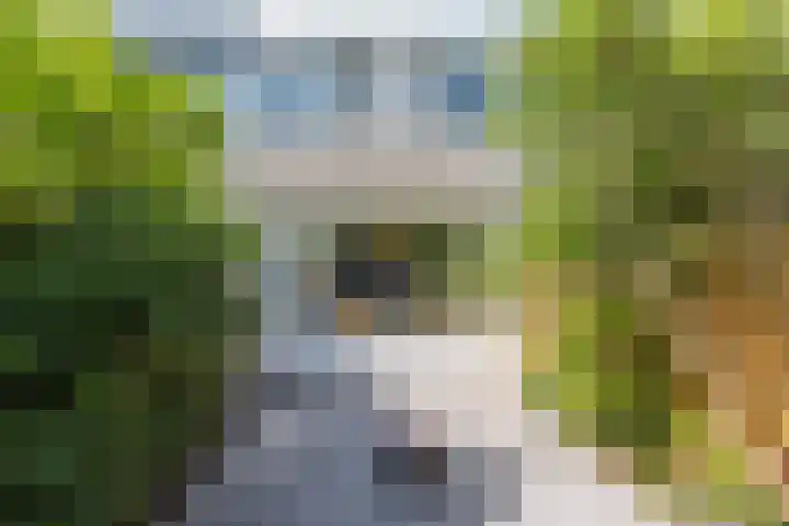 Strawinskylaan 30 Delft thumbnail 13