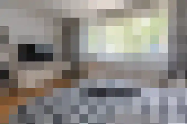 Strawinskylaan 30 Delft thumbnail 19