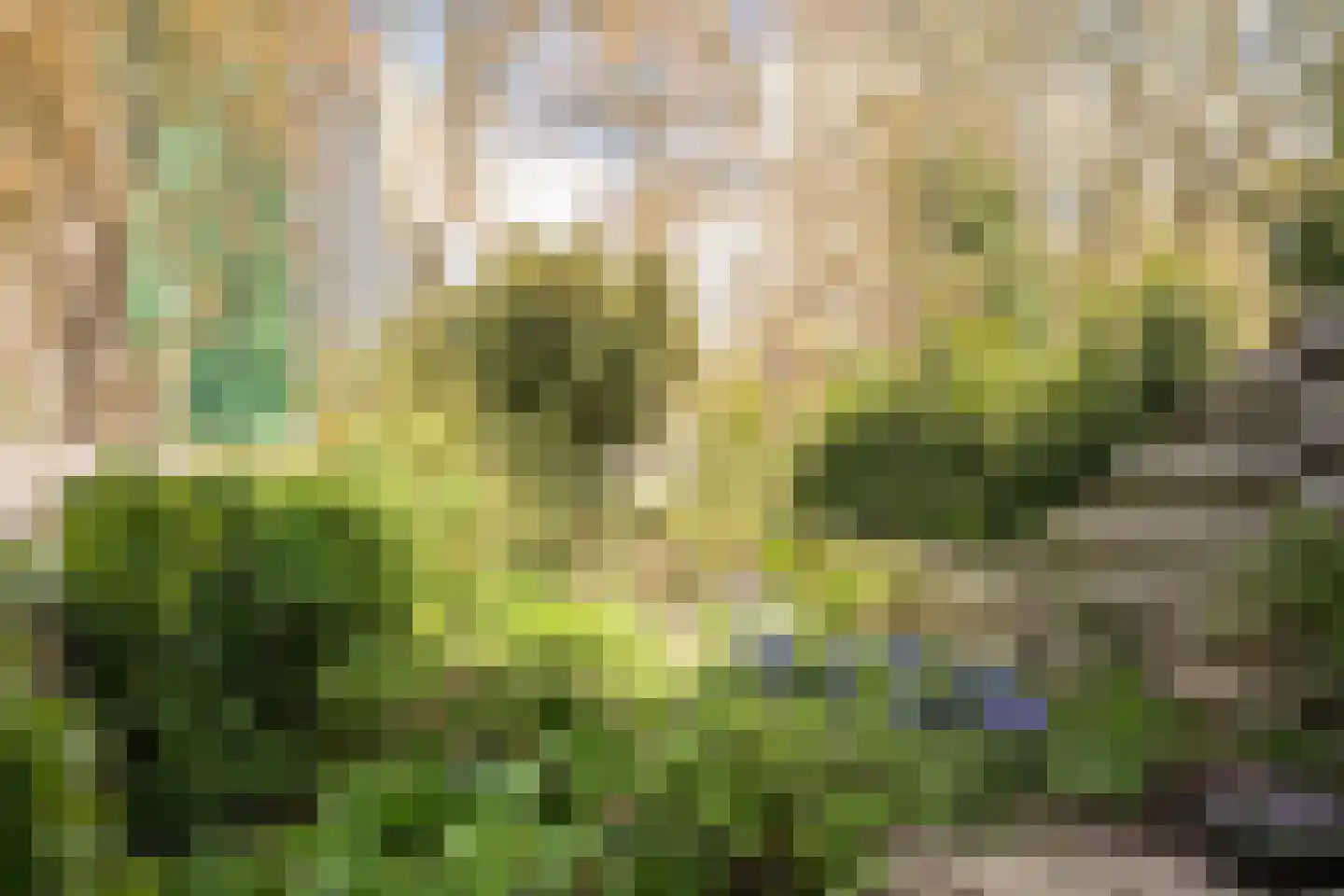 Strawinskylaan 45 Delft thumbnail 55