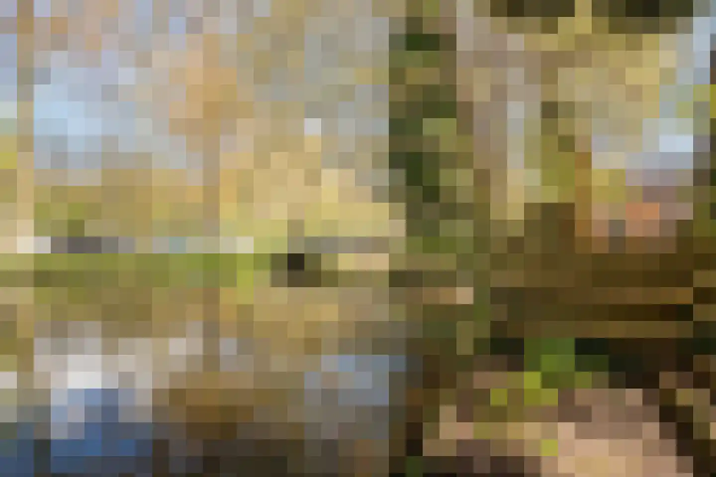 Strawinskylaan 45 Delft thumbnail 58