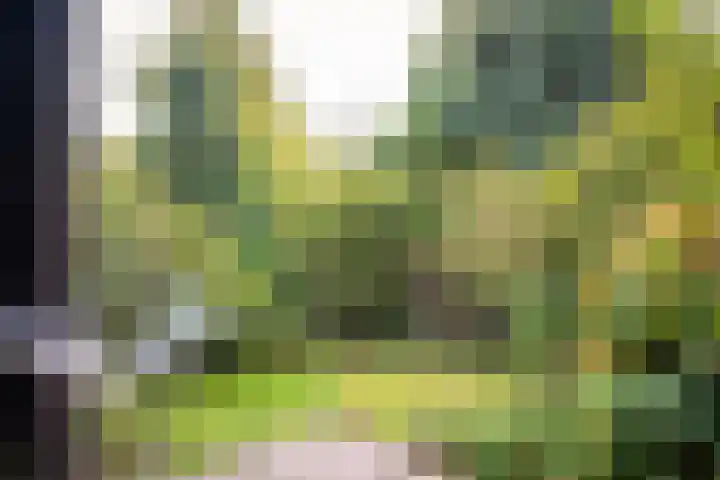 Strawinskylaan 64 Heemstede thumbnail 11