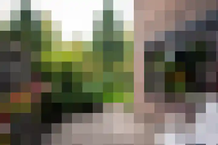 Strawinskylaan 64 Heemstede thumbnail 12