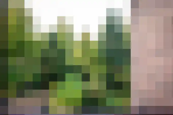 Strawinskylaan 64 Heemstede thumbnail 13