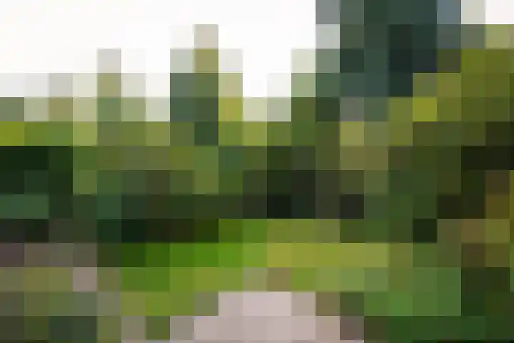 Strawinskylaan 64 Heemstede thumbnail 15