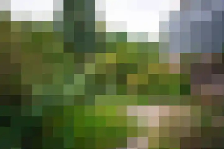 Strawinskylaan 64 Heemstede thumbnail 16
