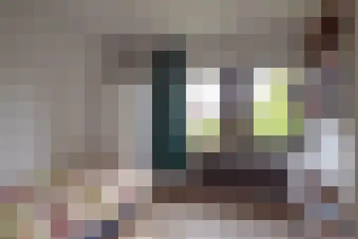 Strawinskylaan 64 Heemstede thumbnail 27