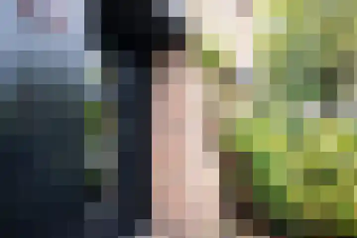 Strawinskylaan 64 Heemstede thumbnail 35