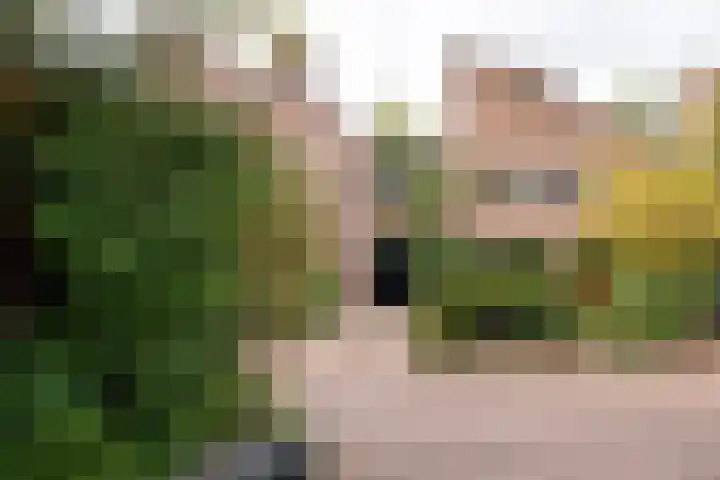 Strawinskylaan 64 Heemstede thumbnail 36