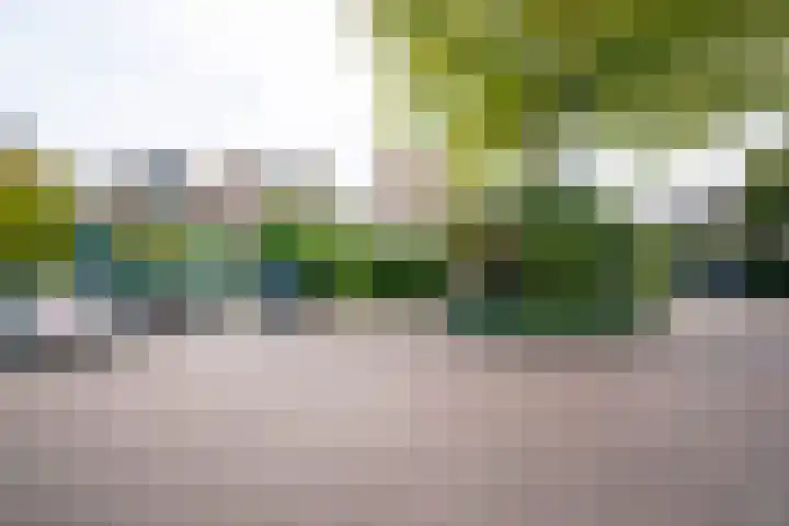 Strawinskylaan 64 Heemstede thumbnail 38