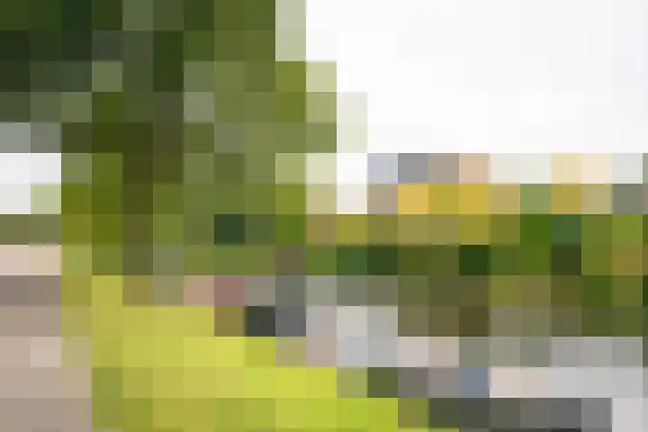 Strawinskylaan 64 Heemstede thumbnail 39