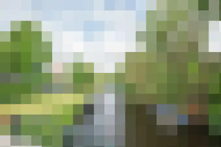 Strawinskylaan 64 Heemstede thumbnail 40