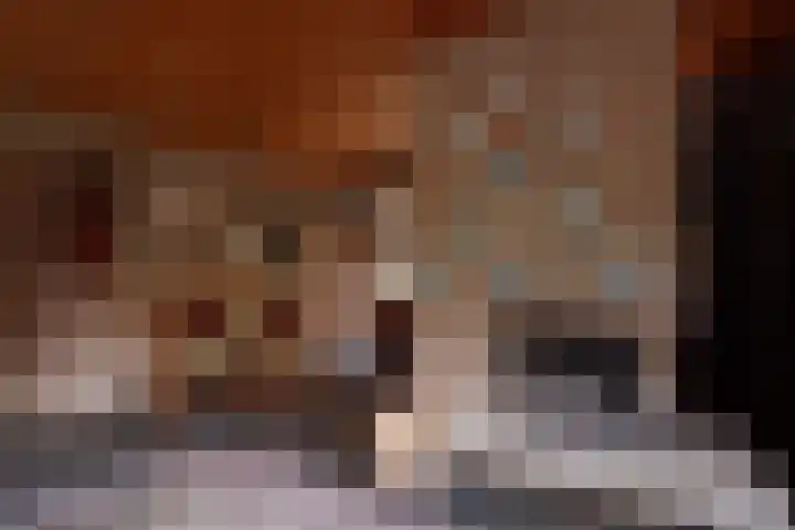 Strawinskylaan 64 Heemstede thumbnail 9