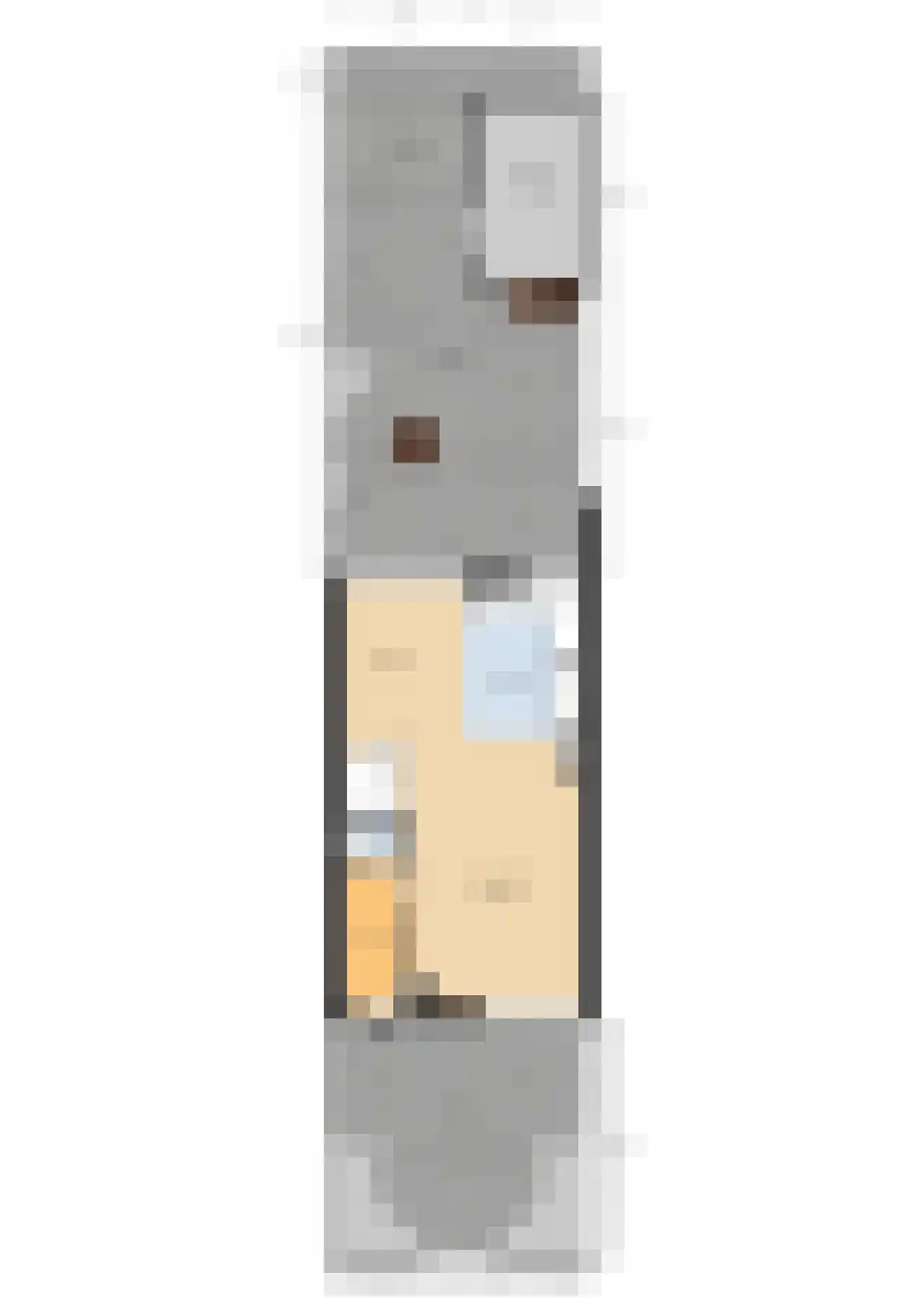 Strawinskystraat 1 Nieuwegein thumbnail 48